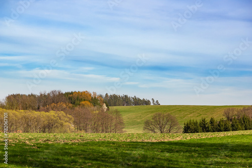 Idyllic landscape with green meadows and blooming trees.