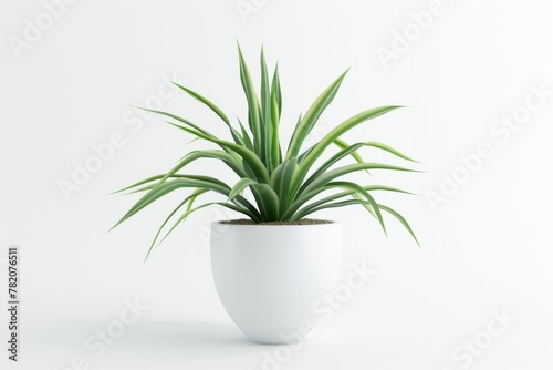plant realistic realistic plant 3d model