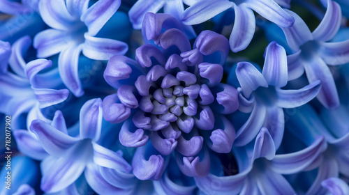 Intricate details of vibrant blue hyacinth flowers with a soft focus background.