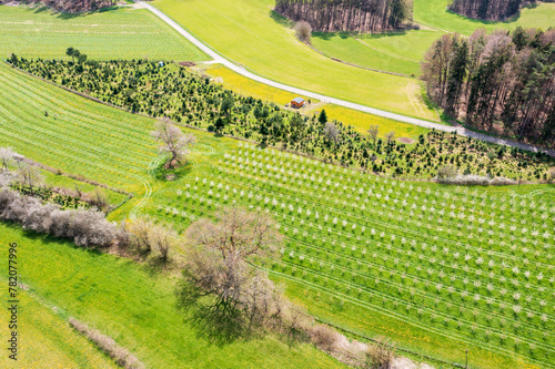 Aerial view of blooming cherry trees in Upper Franconia - Germany