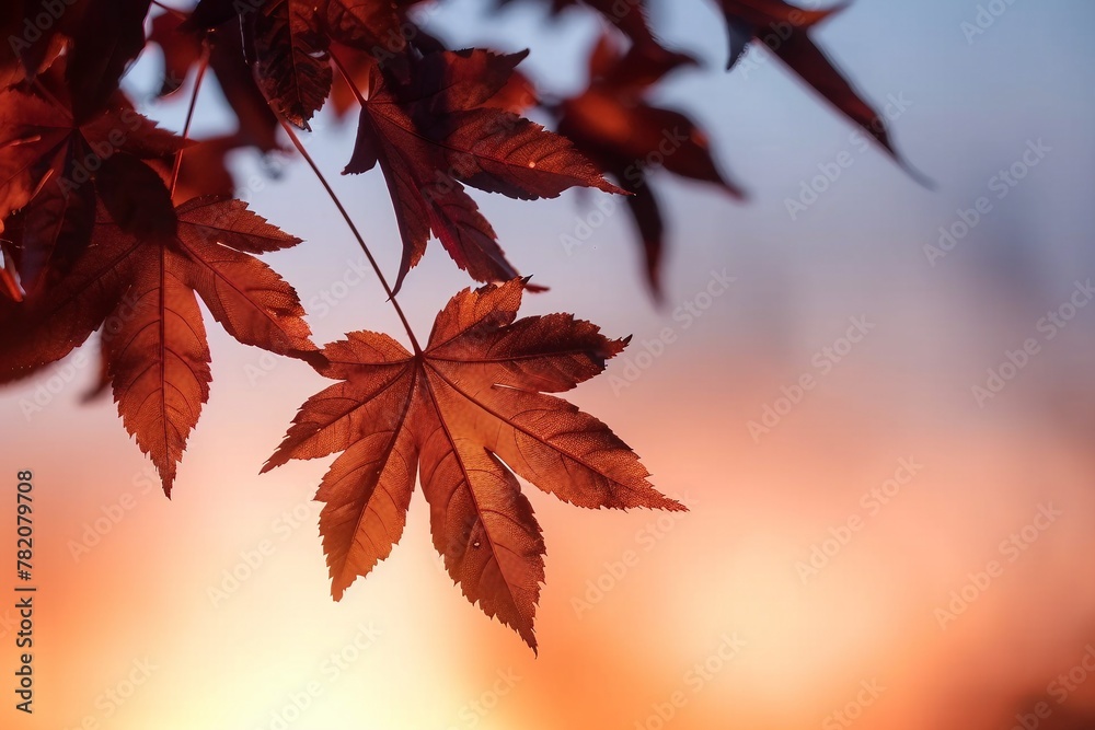 maple tree leaves during sunset. generative ai. maple tree leaves during sunset. generative ai.