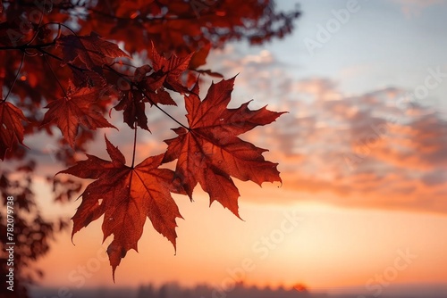 maple tree leaves during sunset. generative ai.