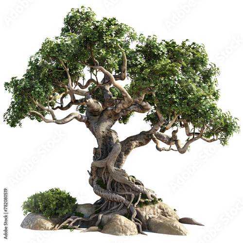 tree element, hyperrealistic, hyper detailed, isolated on transparent background