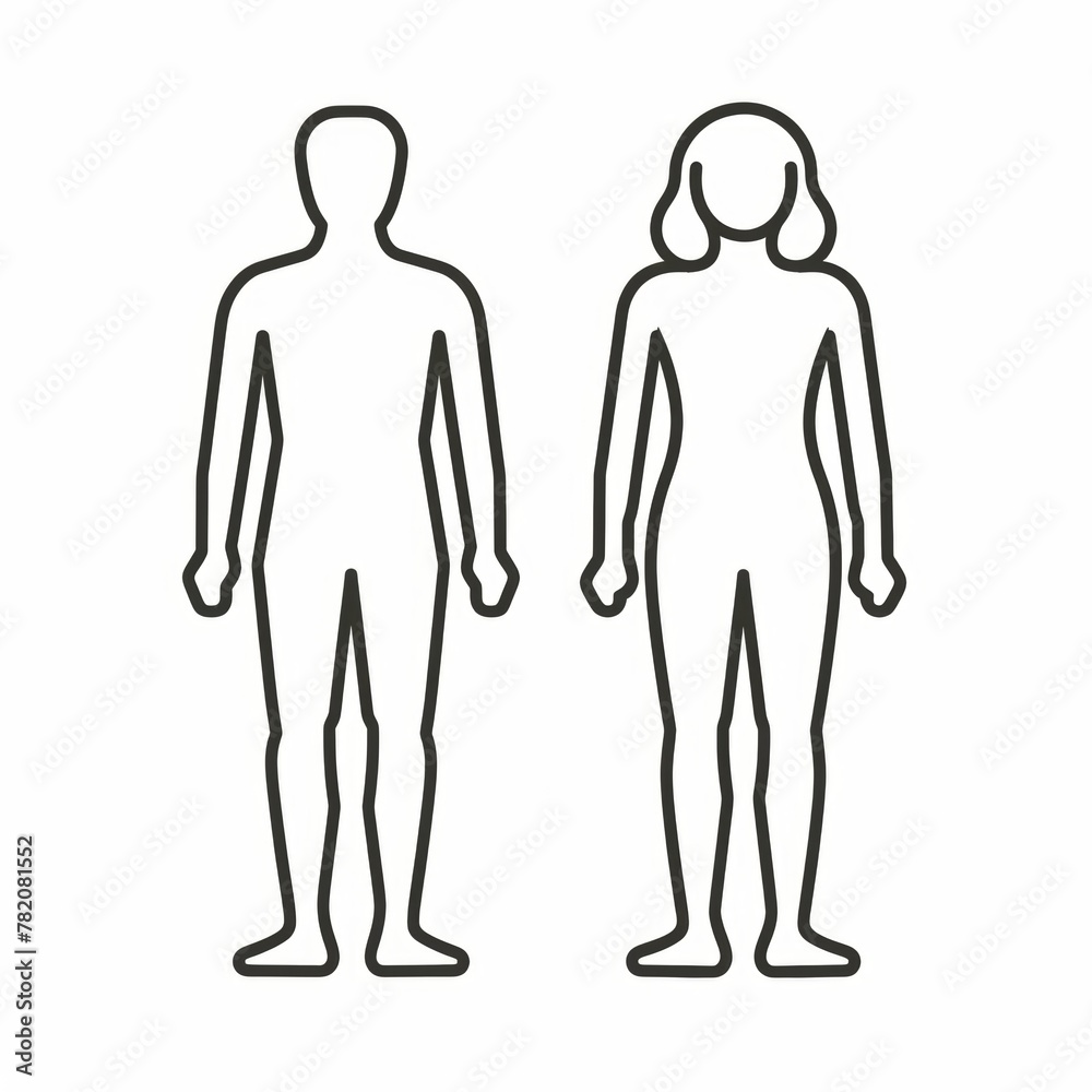 Line drawing of human body illustration for medical theme promotion Line drawing of human body illustration for medical theme promotion