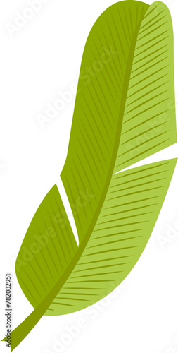Tropical banana leaf design, vibrant jungle botanical art, vector design no background 