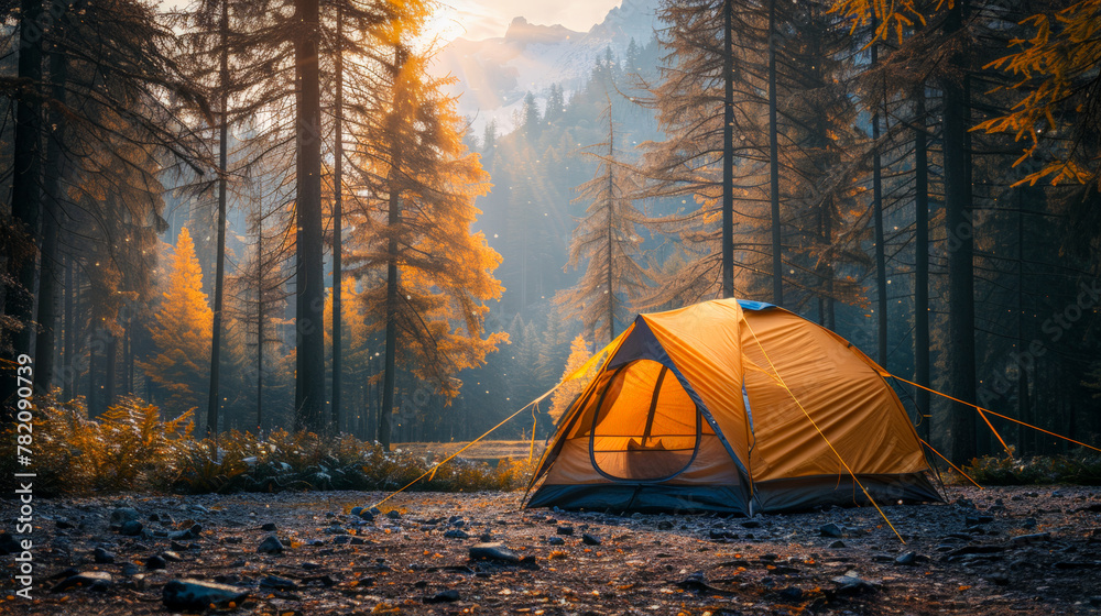 Summer adventure: camping under the stars