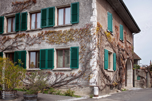 Wallpaper Mural Charming old house with green shutters embraced by climbing plants in a quaint Swiss village, evoking a sense of travel and the idyllic rural life in Europe Torontodigital.ca