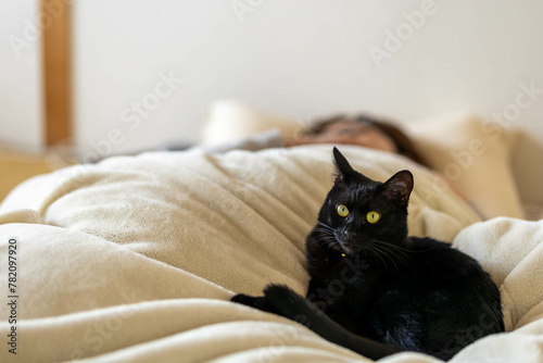 Fototapeta Naklejka Na Ścianę i Meble -  一緒に寝る猫