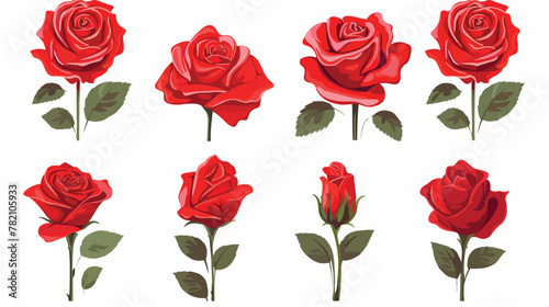 Set of beautiful red roses isolated on white backgr © Mishi