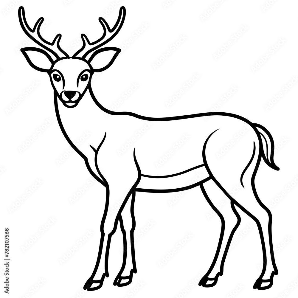       Deer  vector illustration style.
