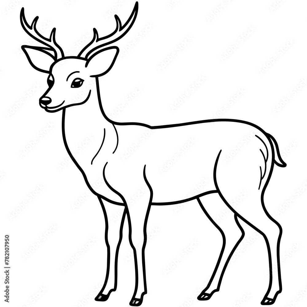 Fototapeta premium Deer vector illustration style. 