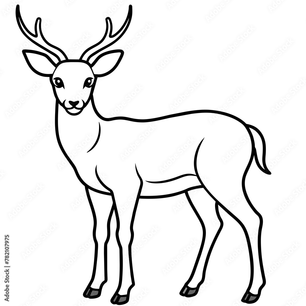 Deer vector illustration style.
Deer vector illustration style.