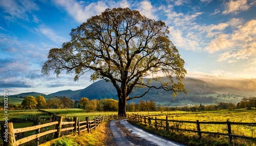 landscape with trees