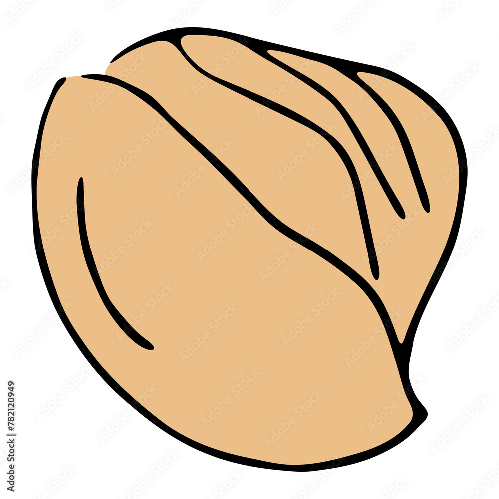 Pasta, Shells Pasta, Shells