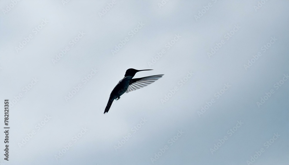 Obraz premium The minimalist sketch of a hummingbird in mid-flight, captured with a few simple lines against a sky-blue background, emphasizing speed and freedom