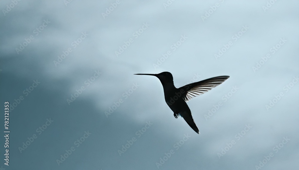 Obraz premium The minimalist sketch of a hummingbird in mid-flight, captured with a few simple lines against a sky-blue background, emphasizing speed and freedom