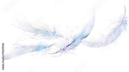 美しくリアルな筆致の白い羽根の水彩イラスト photo