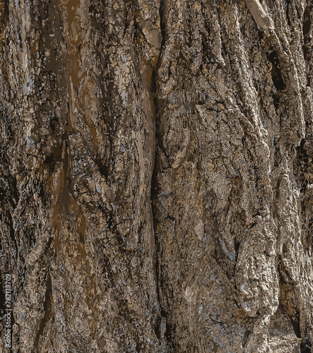 Vector illustration of a tree bark texture with longitudinal deep cracks. Robinia pseudoacacia bark background.
