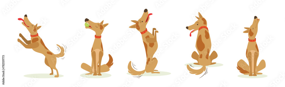 Funny Dog Domestic Pet and Animal in Different Pose Vector Set - obrazy, fototapety, plakaty 