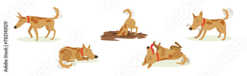 Funny Dog Domestic Pet and Animal in Different Pose Vector Set