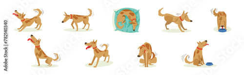 Funny Dog Domestic Pet and Animal in Different Pose Vector Set