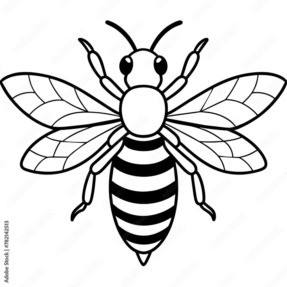 Asian giant hornet bee vector illustration.
Asian giant hornet bee vector illustration.