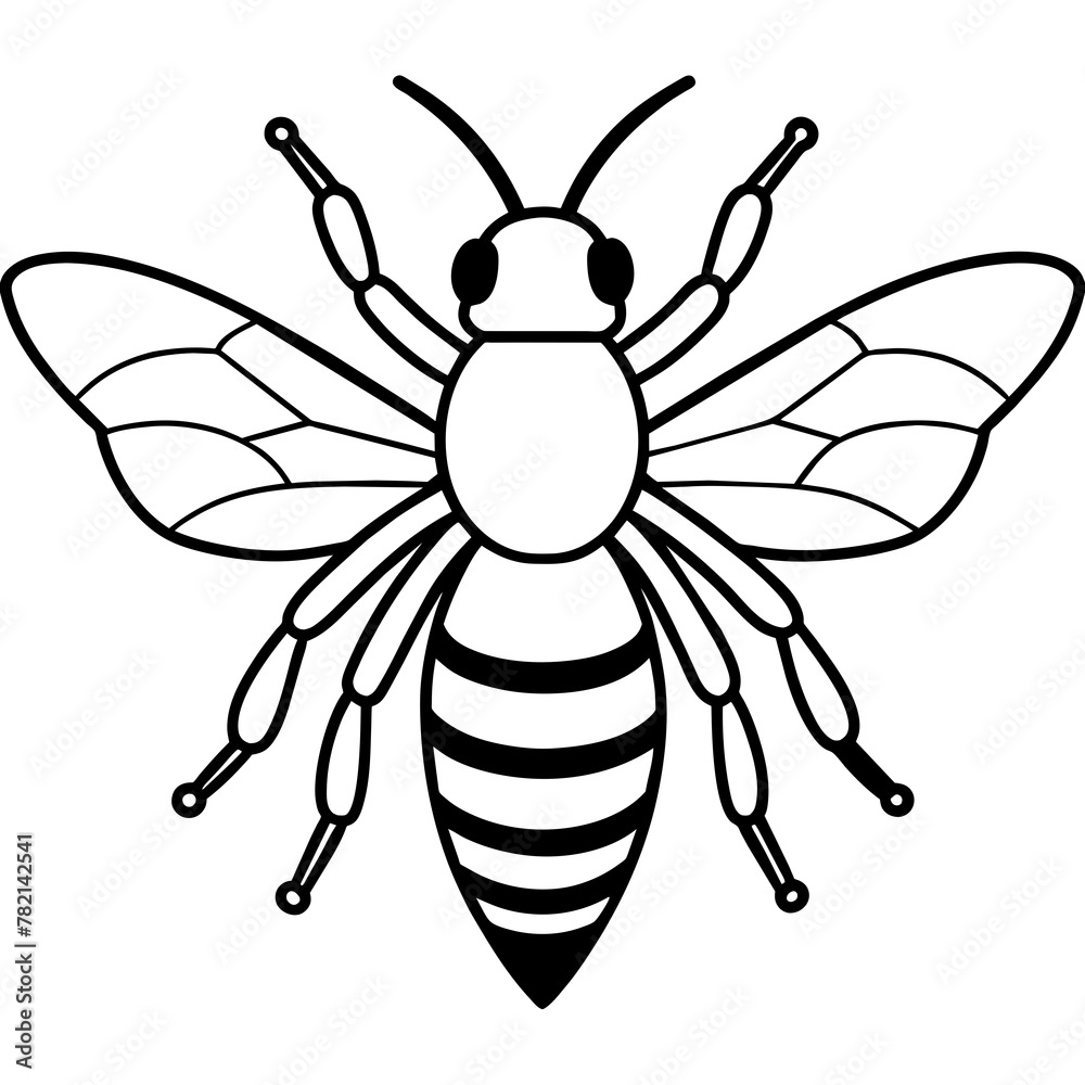 Asian giant hornet bee vector illustration.
Asian giant hornet bee vector illustration.