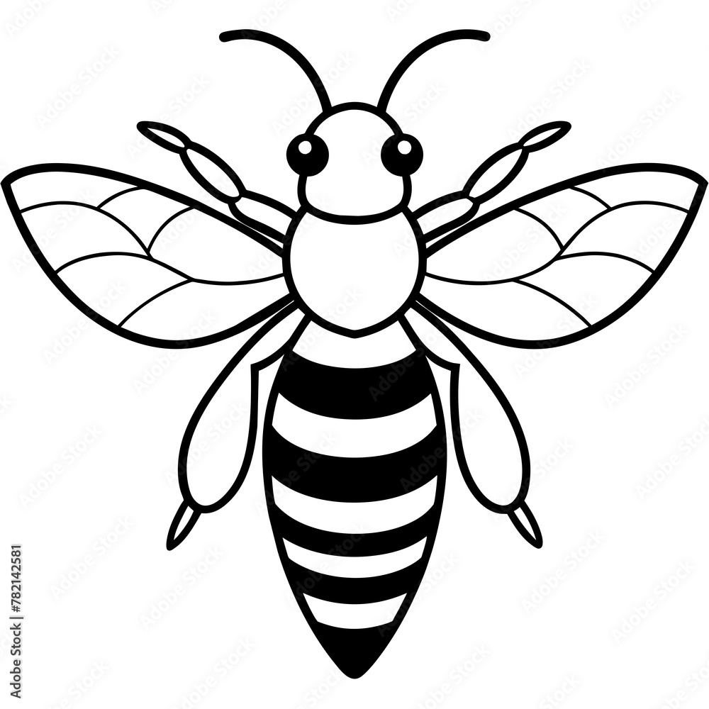 Asian giant hornet bee vector illustration.
Asian giant hornet bee vector illustration.