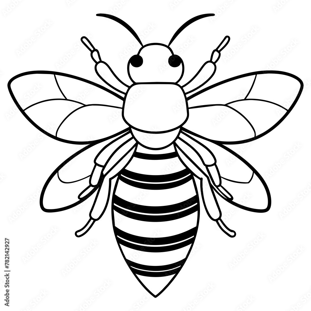 Asian giant hornet bee vector illustration.
Asian giant hornet bee vector illustration.