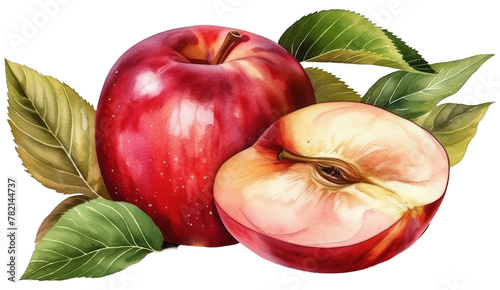 Illustration watercolor of Red Apples with Leaves, on transparent background with png file. Cut out background.