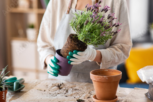 people, gardening and housework concept - close up of woman in gloves planting pot flowers at home