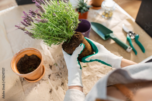 people, gardening and housework concept - close up of woman in gloves planting pot flowers at home © Syda Productions