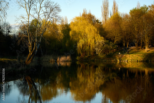 Spring park at sunset: reflections of trees, willows, blossom, and young green shoots in the water. Enchanting evening nature, relaxation, tranquility, landscape design, scenery, spring, lake, sunset