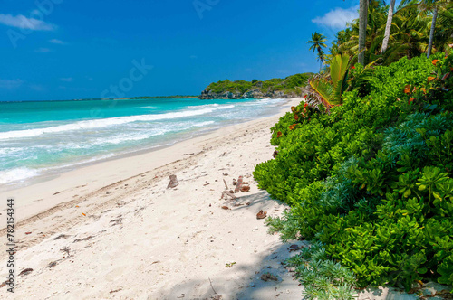 Paradise beach of the Caribbean Sea