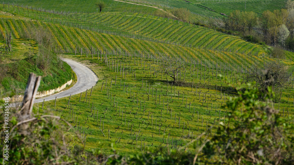 Foto scattata nelle colline attorno Tassarolo durante il periodo primaverile.