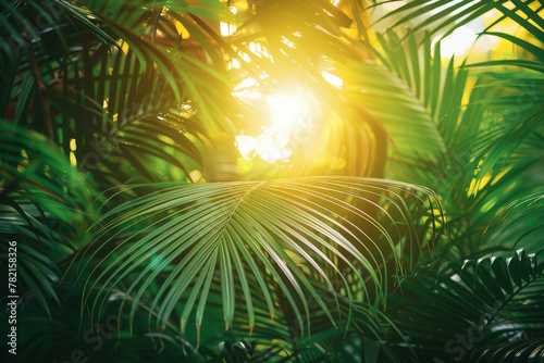 Tropical Palm Leaves with Sunlight Flare - Nature Background © smth.design