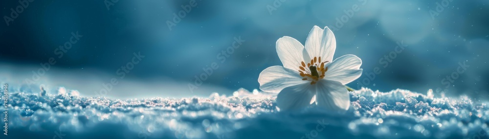 Clear and simple image of a snowy mountain peak with a single flower, representing resilience and peace in nature Clear and simple image of a snowy mountain peak with a single flower, representing resilience and peace in nature