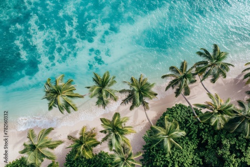 Aerial View of Tropical Shoreline with Lush Palm Trees and Turquoise Waters