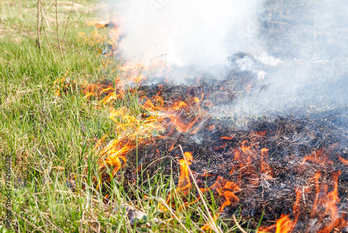Burning dry grass on field close up. Fire in the field. Environmental disaster, environment, climate change, environmental pollution.