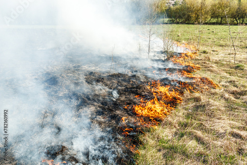 Burning dry grass on the field. Fire in the field. Environmental disaster, environment, climate change, environmental pollution.