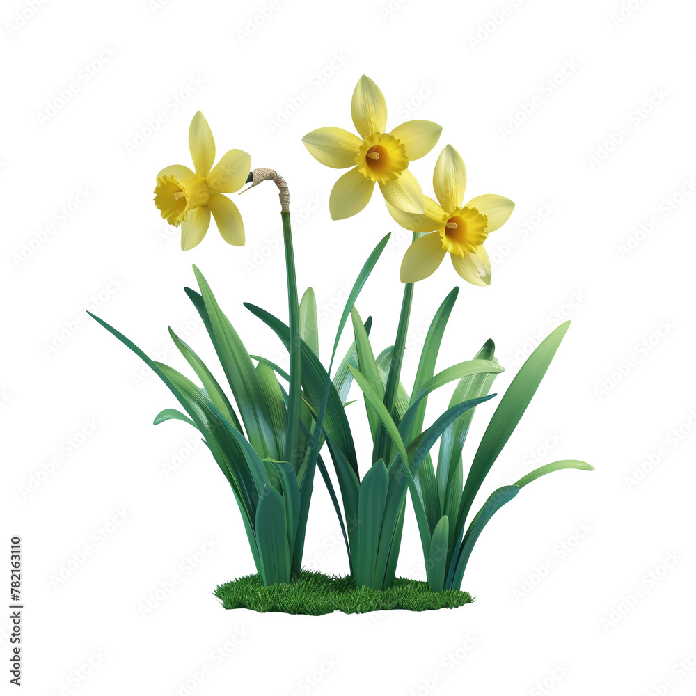 Yellow flowers in green pot on transparent Background Yellow flowers in green pot on transparent Background