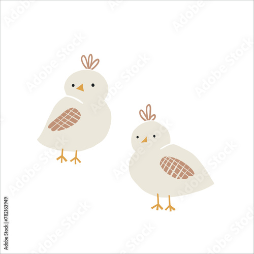 Cute small birds vector clipart. Hand drawn funny bird illustration. For thematic designs, stickers, patterns. Vector illustration isolated on white background