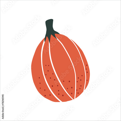 Pumpkin vector clipart. Cute hand drawn pumkin illustration. For thematic designs, stickers, patterns. Autumn Thanksgiving food illustration isolated on white background