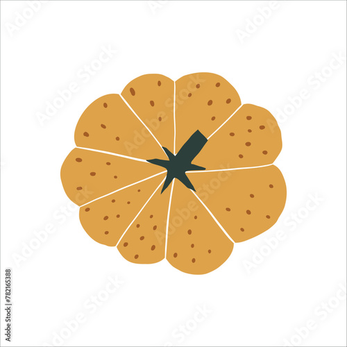 Pumpkin vector clipart. Cute hand drawn pumkin illustration. For thematic designs, stickers, patterns. Autumn Thanksgiving food illustration isolated on white background