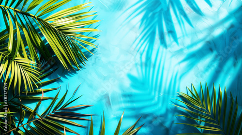 Tropical palm leaves casting shadows on a textured blue background