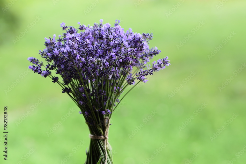 Fototapeta premium Lavender bouquet on green bokeh background. Bunch of lavendula flowers, Fresh lavender flowers. Selective focus, copy space, space for text. 