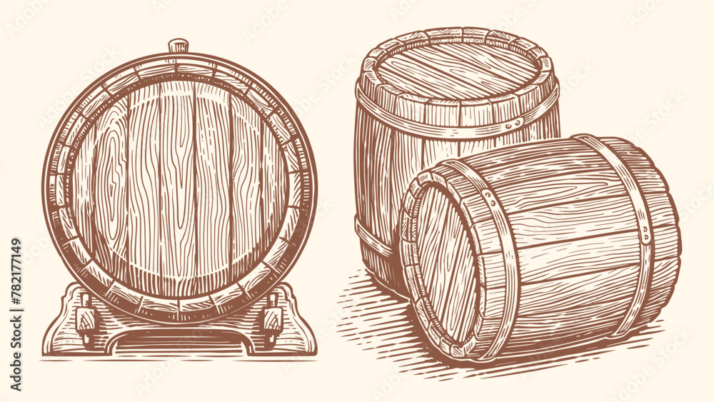 Obraz premium Oak barrel, hand drawn vector illustration. Wooden cask sketch drawing