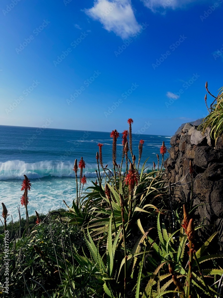 view of the ocean