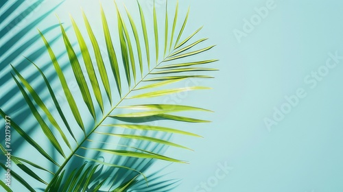  Symbolic Serenity Palm Branch Set Against a Sky Blue Background  Perfect for Palm Sunday Celebrations and Reflection 