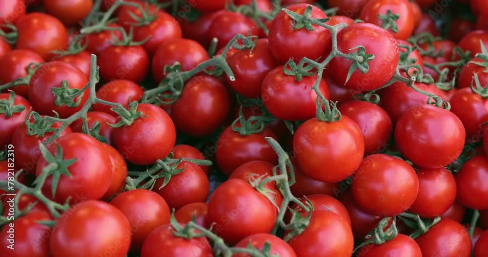 Ripe juicy red tomatoes on market. Farming organic vegetables and healthy nutrition vitamins. Ripe juicy red tomatoes on market. Farming organic vegetables and healthy nutrition vitamins.